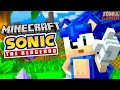 Minecraft Sonic the Hedgehog DLC!! - Zebra's Minecraft Fun