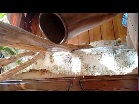 Didgeridoo de Agave nota Mi