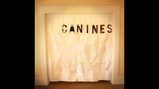 Canines - Black Bay