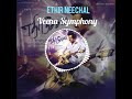 Ethir Neechal Bgm Veena Symphony Music