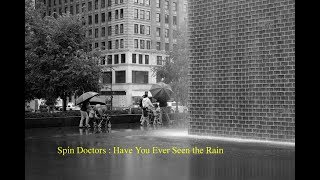 Spin Doctors : Philadelphia  -  Have You Ever Seen the Rain