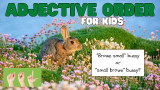 ASL Adjective Order for Kids
