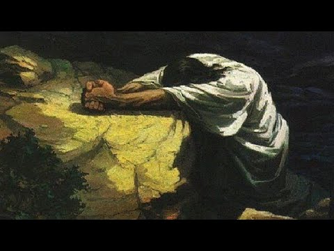 Não amem o mundo | 1 JOÃO 1-5 | Livro Completo 