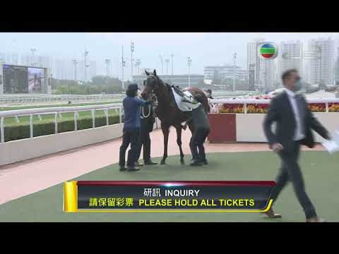 2021/22 (319) - Metro Warrior (精彩勇士) - 何澤堯 (過終點頭馬魅影揚飛末段斜跑阻及精彩勇士賽後抗議成立名次正換)