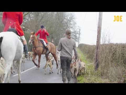Inside the violent world of fox hunting in the UK | Extreme Britain