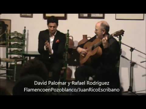 David Palomar y Rafael Rodríguez / Bulerias