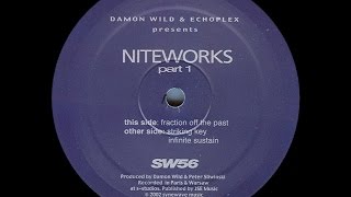 Damon Wild & Echoplex - Fraction Off The Past