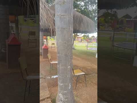 Pesque e solte em Pedro Leopoldo/Mg #funnyshorts #memes #pesca #pesquesolte #pescaria #minasgerais