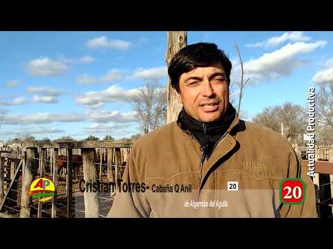 Cristian Torres Cabaña  Q Anil Algarrobo del Aguila
