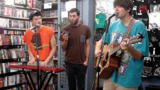 Miniature Tigers-Gold Skull- Live