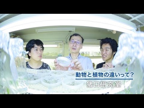 生物化学科の研究力