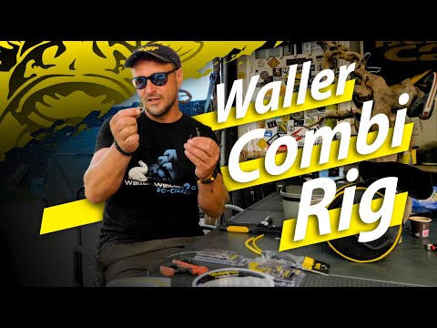 C wie Combi Rig - So bindest du das beste Wels-Rig für verschieden große Köderfische #wallerwelt2
