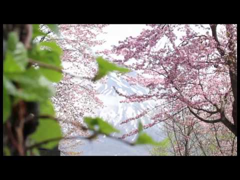 download lagu mp3 mp4 Hokkaido Tracks Holidays, download lagu Hokkaido Tracks Holidays gratis, unduh video klip Hokkaido Tracks Holidays