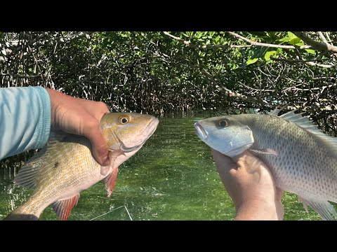 Multi Species Day Fishing The Florida Keys!