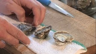 How to Refrigerate Oysters : Gourmet Recipes