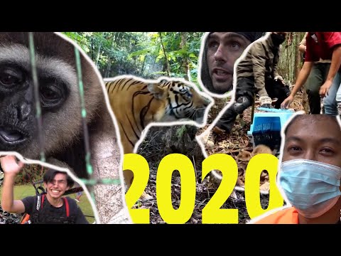 BEST OF KALAWEIT 2020  and Chanee's message