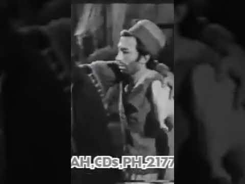 Pashto Old Film Badar Muneer #Best Pashto old Film Short Viral #songs #songs #oldfilm #oldfilmisongs