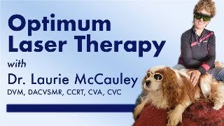 Live discussion on Laser Cases with Tips and Tricks and Q &amp; A