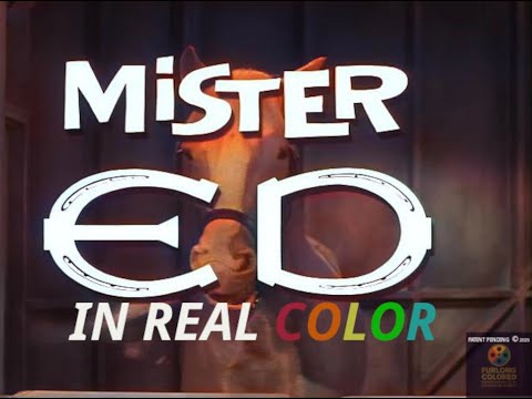 🐴 Mister Ed (1961) — S1E1 “The First Meeting” — (First 5 Minutes) | In Real Color