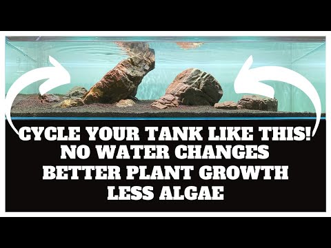 Avoid Algae During Start-up By Cycling Your Planted Tank Like This! - Loads Of Benefits!