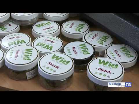 2020-11-07 PRATO - CARABINIERI SEQUESTRANO 120 CHILI DI DROGA, 4 ARRESTI