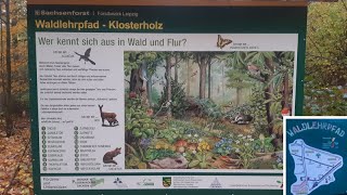 Waldlehrpfad im Klosterholz Grimma