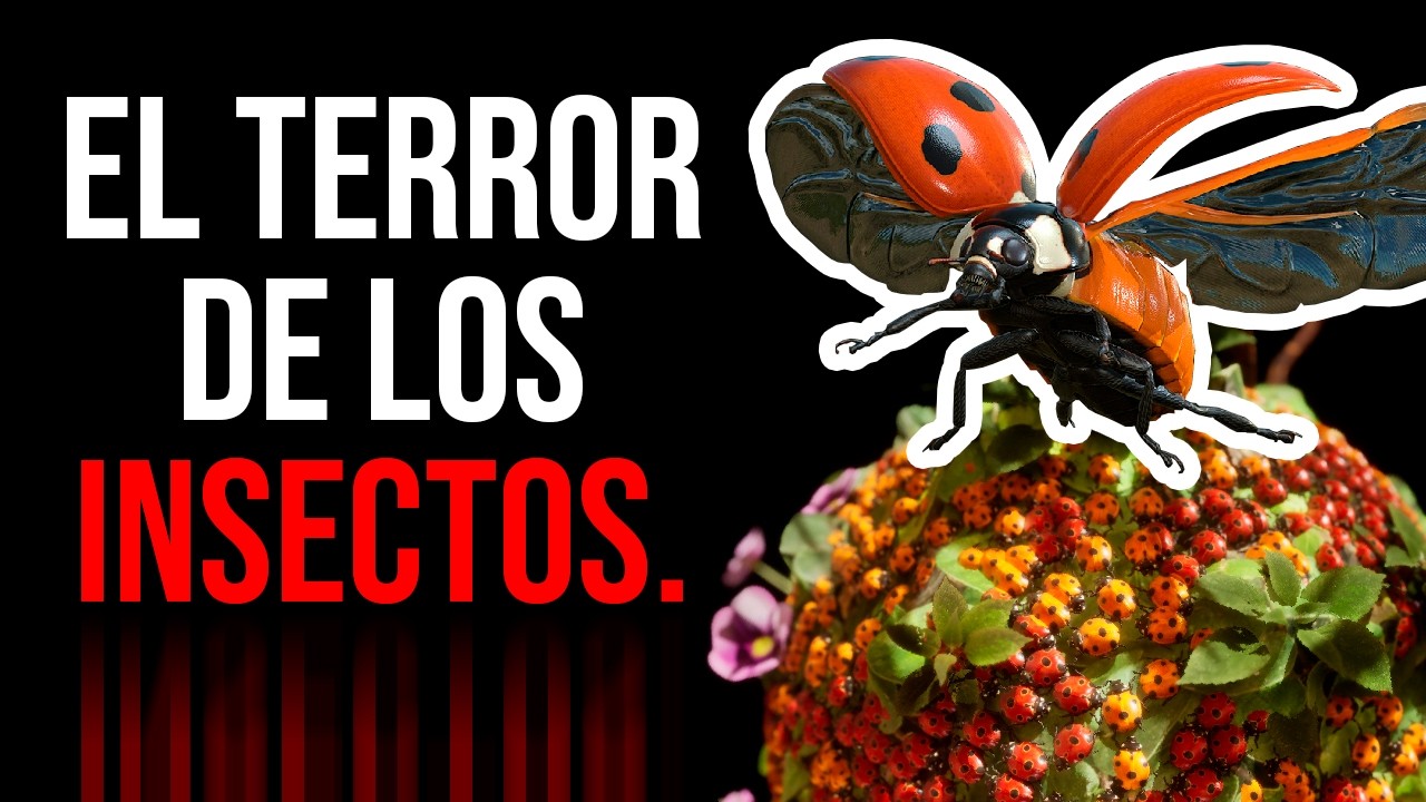 6 Animales Adorables que en Secreto son Horroríficos