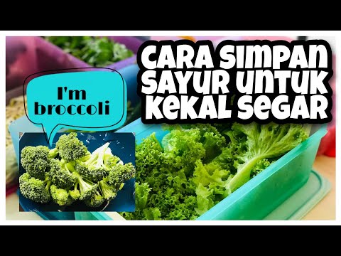 , title : 'Cara Simpan Sayur Untuk Kekal Segar'