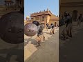 Chhava Movie Trailer Vicky Kaush Action Vickykaushal Chhava Bollywood Blockbuster