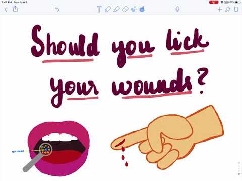 Should you lick your wounds?