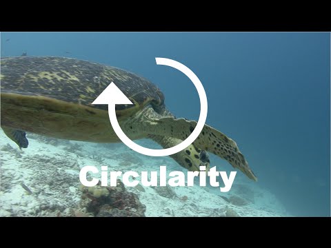 Better & Faster 3/7 – CYCLICALITY (Trends Keynote Speaker Jeremy Gutsche)
