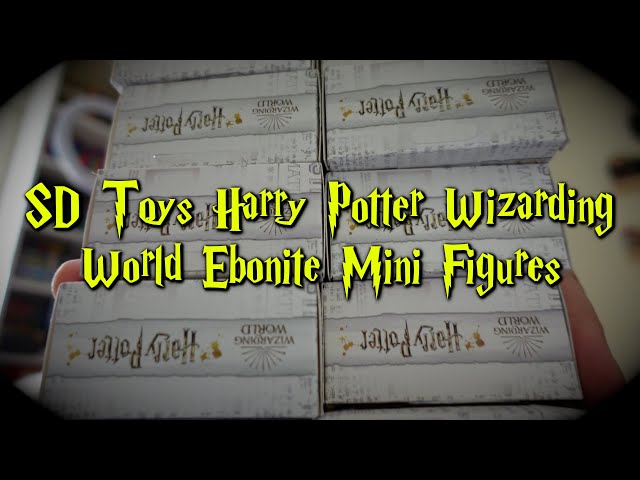 Vídeo relacionado con SD toys- Harry Potter Figura Goma, Color (SDTWRN22308)