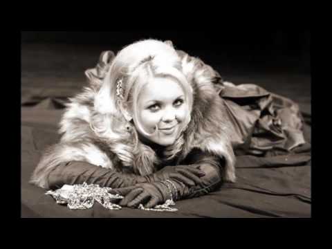 Bllanka Došen - Mansarda mali stan