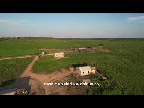 🚜 Fazenda à Venda em Breu Branco-PA | 72 Alqueires | Dupla Aptidão | Pecuária e Lavoura