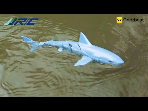 سمكة القرش تحكم عن بعد video