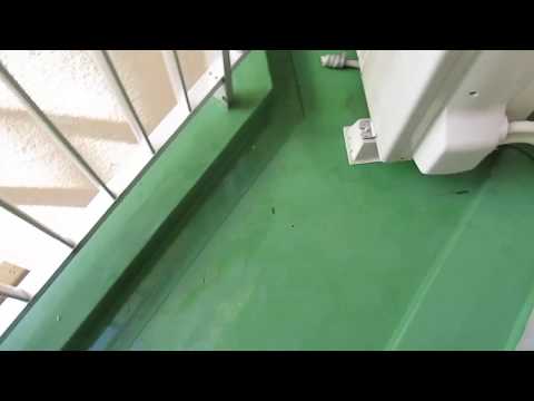 木製テラスから鳥の糞を取り除く方法