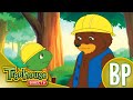 Franklin O Cartão Preferido A Expedição Ep 73