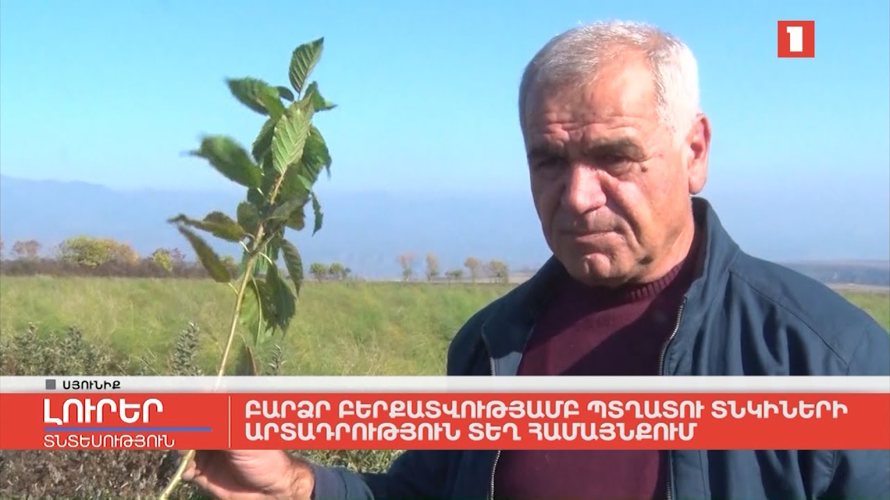 Բարձր բերքատվությամբ պտղատու տնկիների արտադրություն Տեղ համայնքում