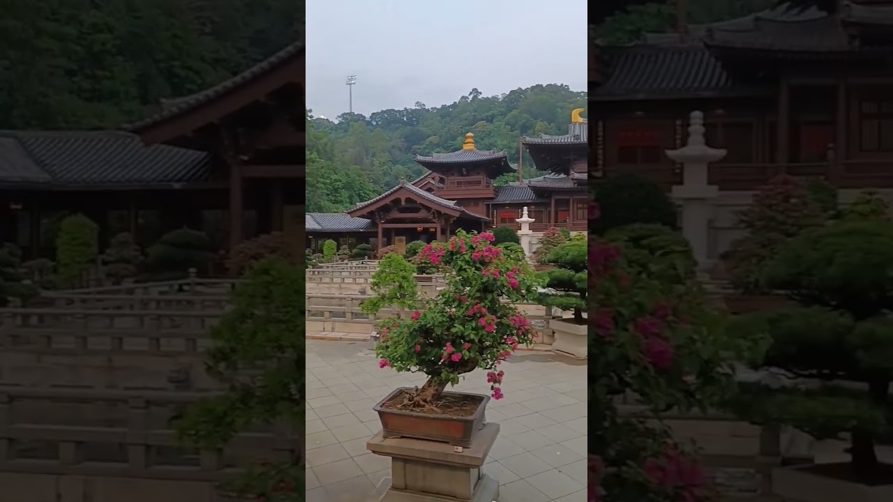 YouTube Short thumbnail