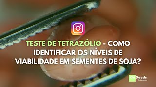 TESTE DE TETRAZÓLIO - COMO IDENTIFICAR OS NÍVEIS DE VIABILIDADE EM SEMENTES DE SOJA?