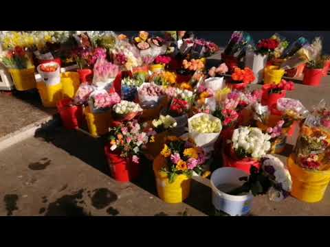 13.02.2021 - Brugg - (AG) - Schweiz 🇨🇭