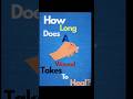 🩹 How Long Does a Wound Actually Take to Heal? | #HowLongTV