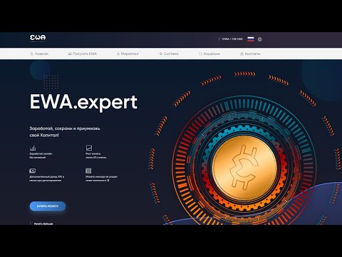 #EWAexpert. Обзор и вывод с проекта EWAexpert.