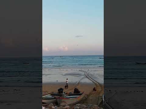 دمقوت. م حوف..