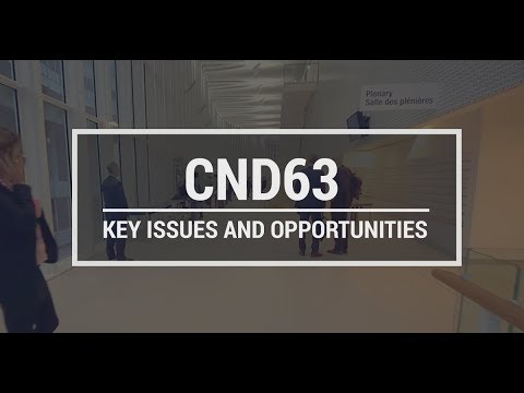 CND 63: Key issues and opportunities