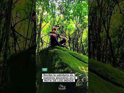 Piedra de lagartos - RUTA DE LOS INDIOS #petroglifos #indigenas #sabiduriaancestral #anzoategui