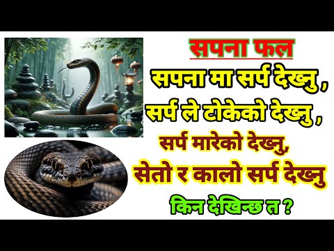 सपनामा नाग देख्नु । सर्पको सपना । sapanama sar dekhnu l sapanama sarpa le tokeko l sarpa ko sapana l