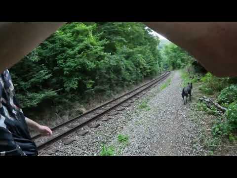 Hiking - Vadu Crisului - Suncuius