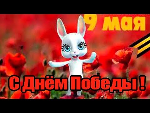 Красивое поздравление С 9 МАЯ! С Днем Победы! ПЕСНЯ СМЕЛОГО ПУЛЯ БОИТСЯ