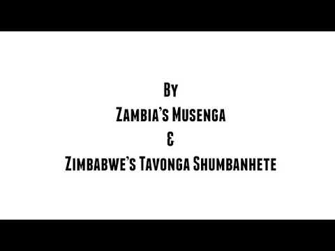 Image for YouTube video with title DigiPoems by Musenga Katongo and Tavonga Shumbanhete viewable on the following URL https://www.youtube.com/watch?v=ULKbArJ-NU0